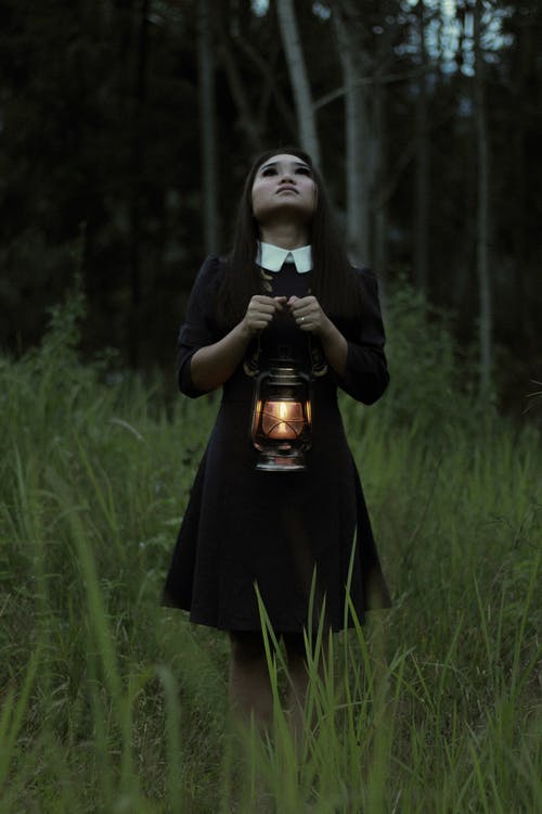 有关信心, 光, 公园的免费素材图片