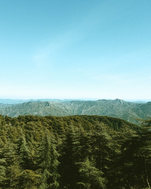 有关垂直拍摄, 天性, 天空的免费素材图片