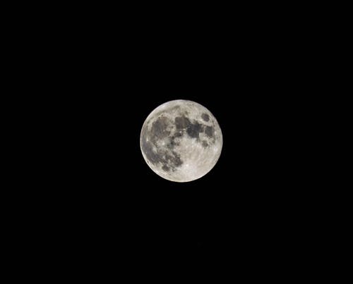 有关(使)丰满, 月光, 月圆的免费素材图片