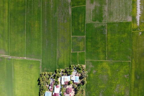 有关住宅, 俯视图, 典型的免费素材图片