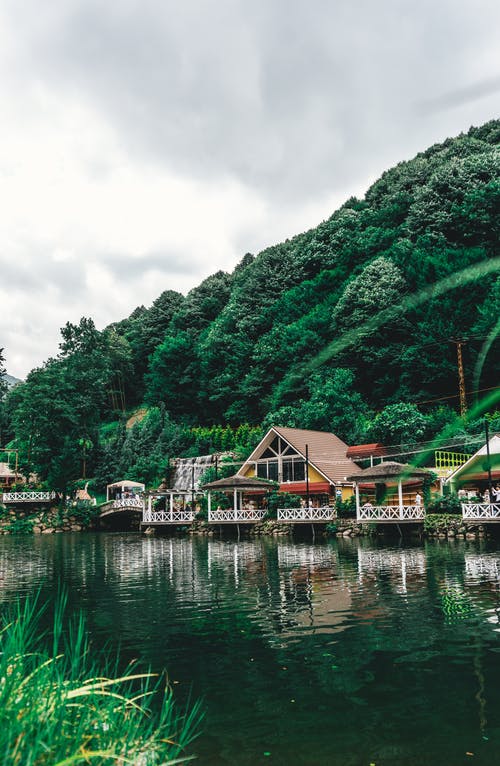 有关冷静, 华丽的, 反射的免费素材图片