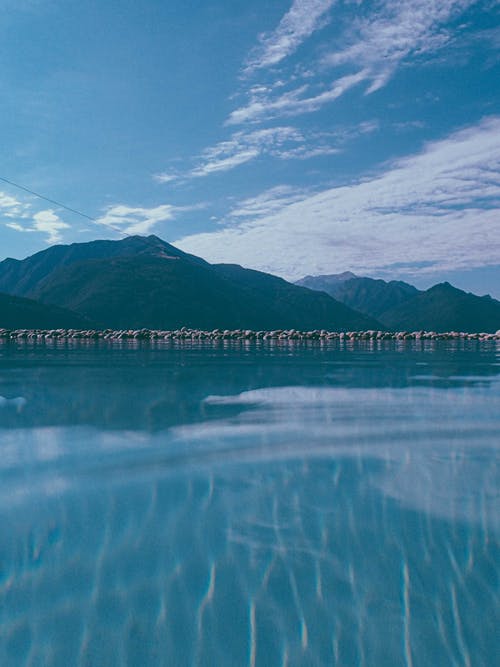 有关不变, 冷静, 华丽的的免费素材图片