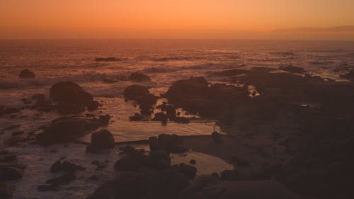 有关backlit, beach, dawn的免费素材图片