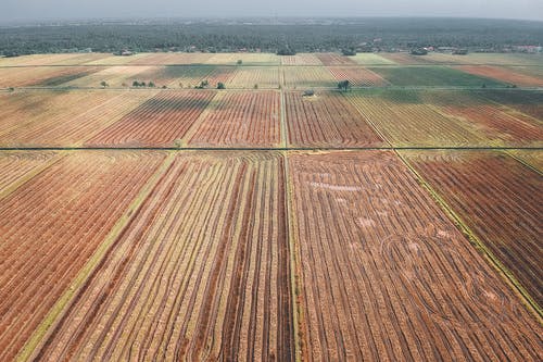 有关农艺学, 冷静, 和平的的免费素材图片