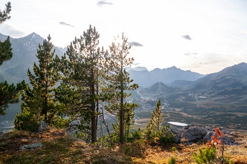 有关冷静, 和平的, 和谐的免费素材图片