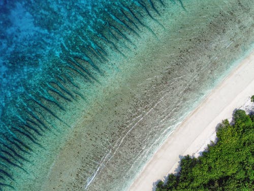 有关岸边, 海, 海洋的免费素材图片