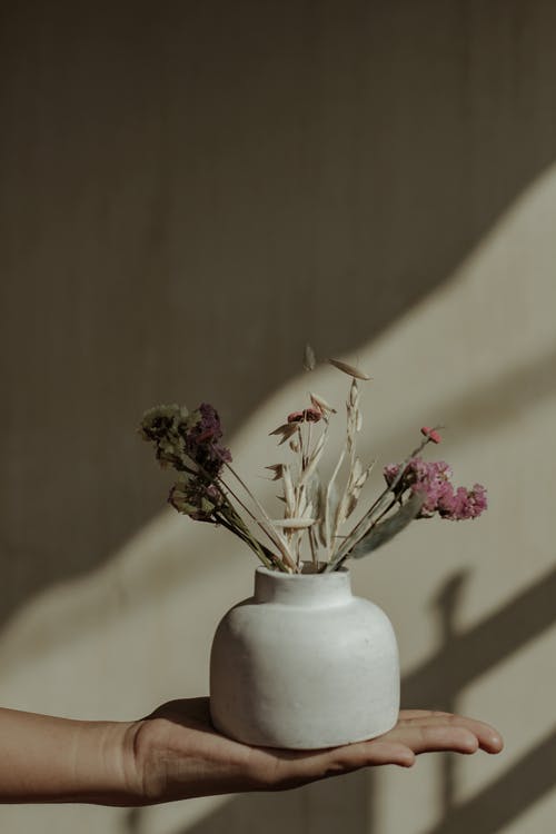 白色陶瓷花瓶中的粉色和白色花朵 · 免费素材图片