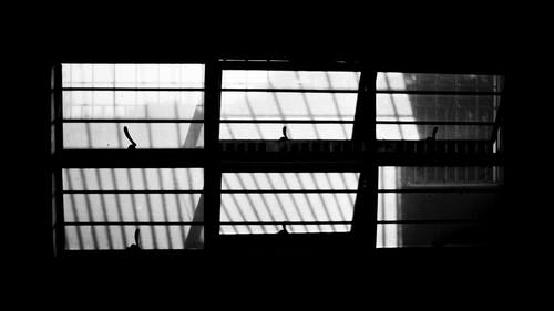 有关bw, 不动产, 住的免费素材图片