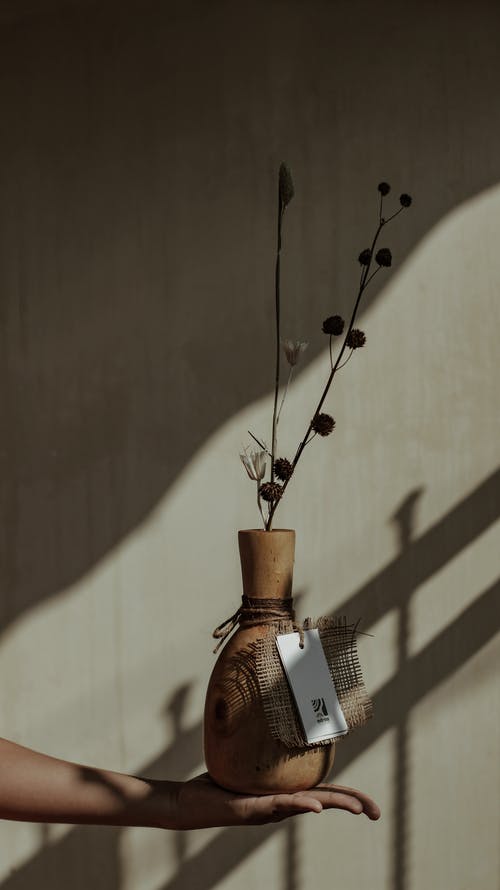 棕色陶瓷花瓶与花 · 免费素材图片