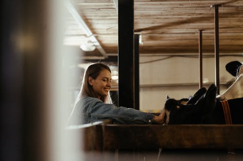 有关一群动物, 下田, 乳制品的免费素材图片
