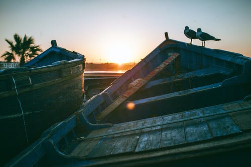 在日落时的旧船上的海鸥 · 免费素材图片
