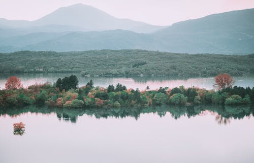 在山附近的湖中岛上的植被 · 免费素材图片