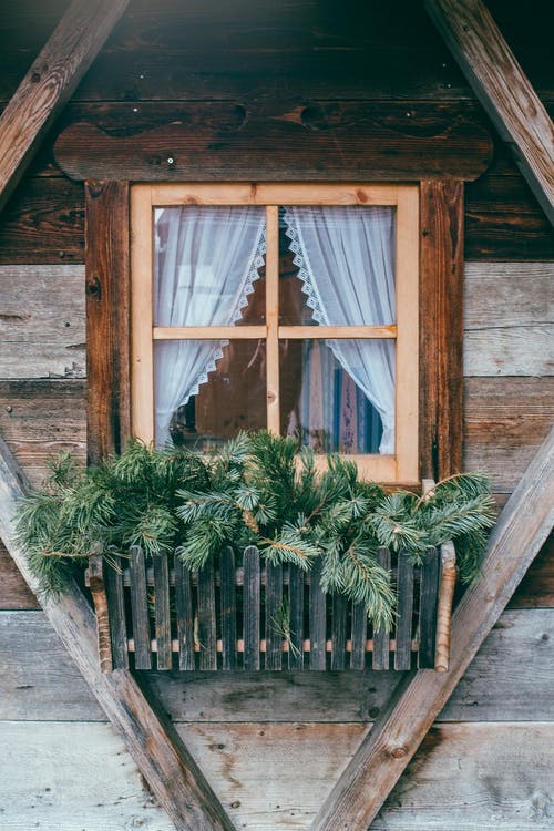 老木屋墙与窗口和盆栽的植物 · 免费素材图片