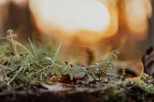 有关土地, 地平线, 地形的免费素材图片