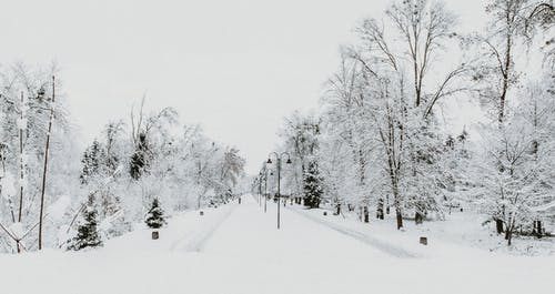 有关人行道, 公园, 冬季的免费素材图片