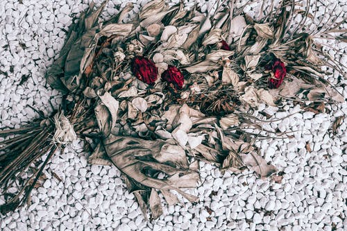 在石质地面上干枯的玫瑰花束 · 免费素材图片