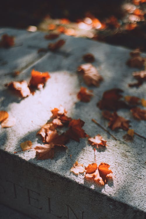秋天的落叶，在墓碑上 · 免费素材图片