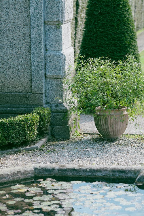 石头花坛与绿色的植物 · 免费素材图片