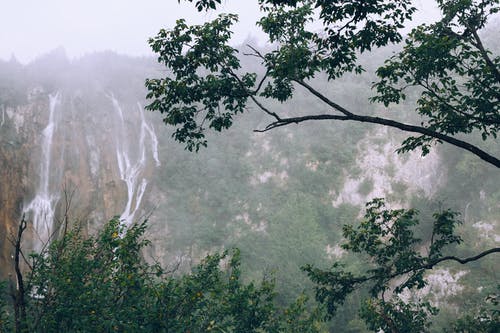 夏天在山上有树木的快速瀑布 · 免费素材图片