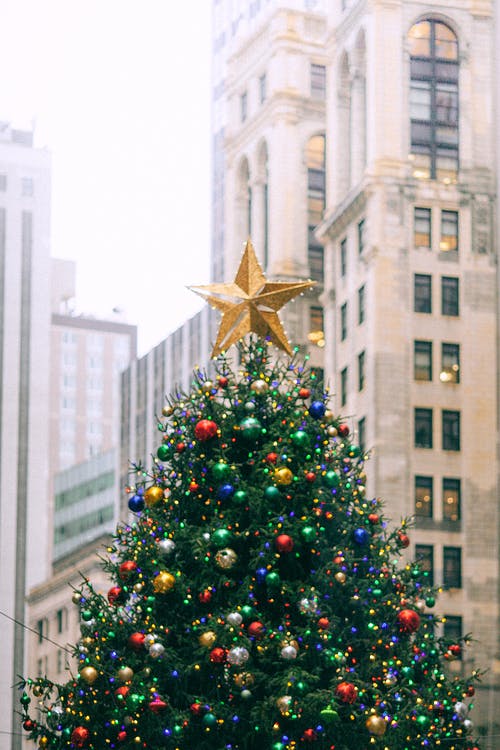 装饰圣诞树反对城市多级建筑立面 · 免费素材图片