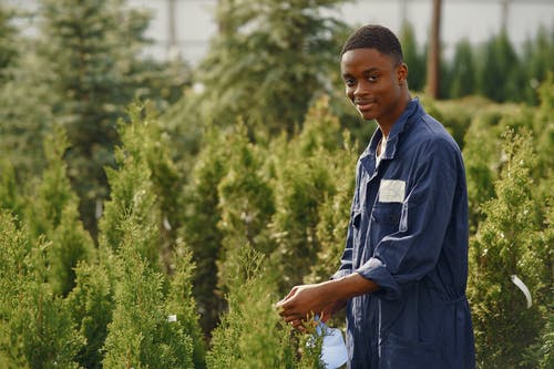 有关保重, 修剪花草, 喷雾瓶的免费素材图片