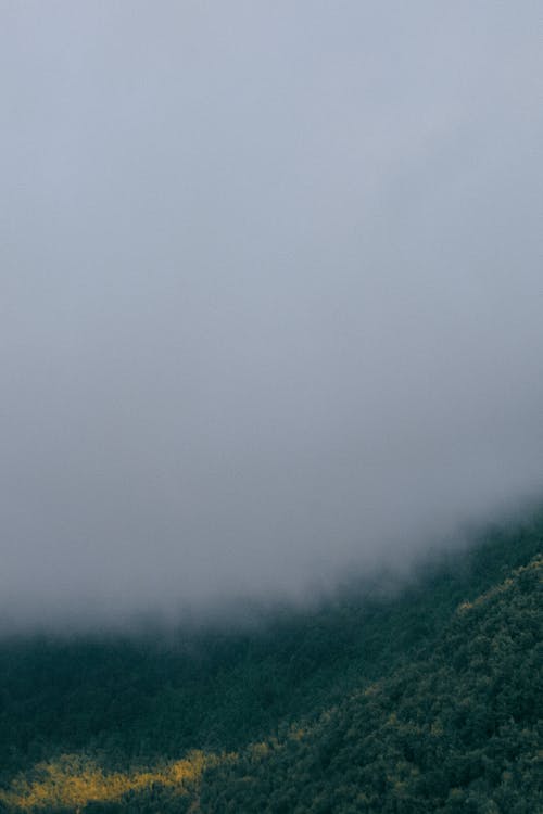 在阴暗的天空下布满茂密森林的山脊 · 免费素材图片