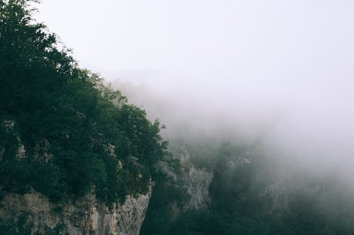 岩石峭壁覆盖着树木，对朦胧的天空 · 免费素材图片