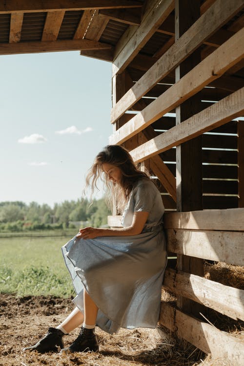 有关农家庭院, 出生地, 夏天的免费素材图片