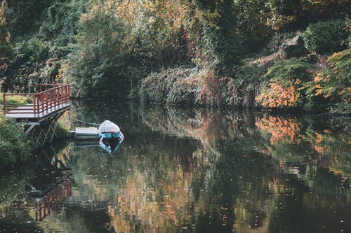 船停泊在郁郁葱葱的秋天森林包围的湖中 · 免费素材图片