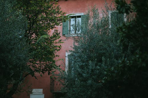 绿色茂盛的树木背后的老房子 · 免费素材图片