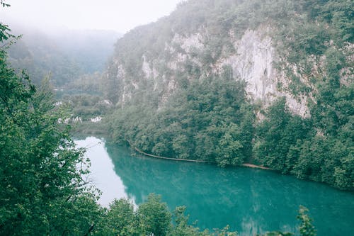 河流流经山区多山的绿色森林 · 免费素材图片