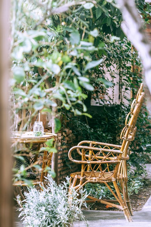 柳条扶手椅在桌子旁边的花园里种有各种植物 · 免费素材图片