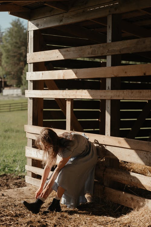 有关农家庭院, 出生地, 夏天的免费素材图片