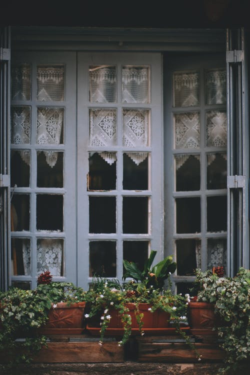 农村小屋窗户装饰着盆栽的室内植物 · 免费素材图片