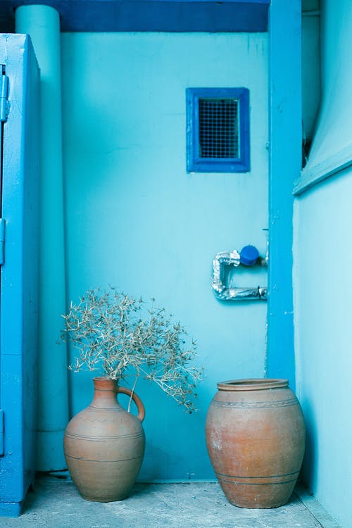 陶罐与干燥的植物分支 · 免费素材图片
