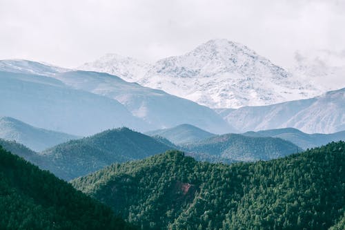 高大的雪山，对郁郁葱葱的绿树 · 免费素材图片