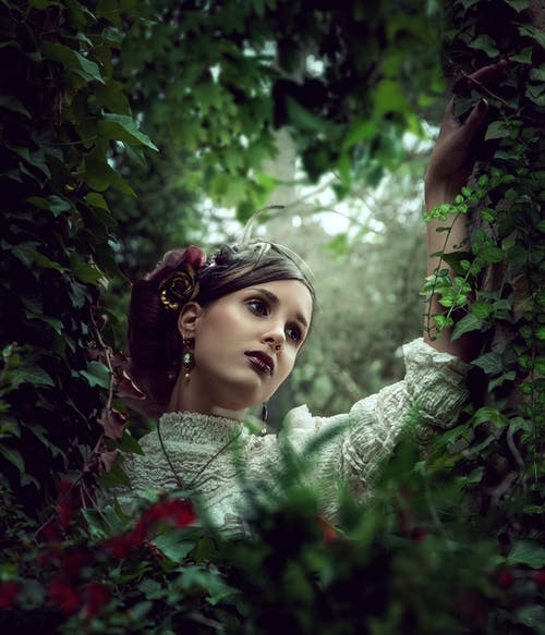 有关優雅, 光鮮亮麗, 垂直拍摄的免费素材图片