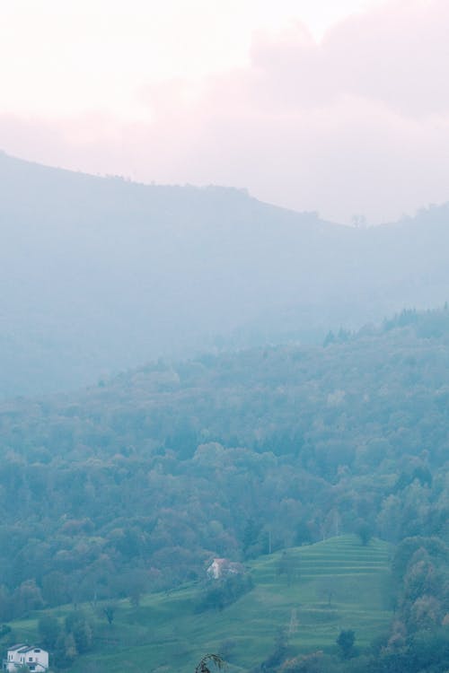 雾天森林茂密的丘陵地带 · 免费素材图片
