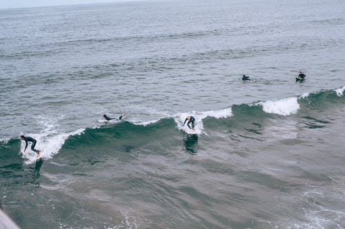 无法识别的运动员练习在海浪上冲浪 · 免费素材图片