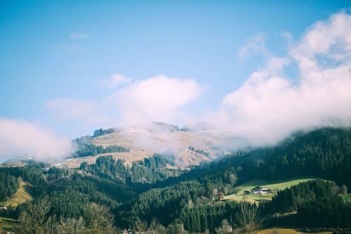 山与郁郁葱葱的树木在雾中的蓝色多云的天空下 · 免费素材图片