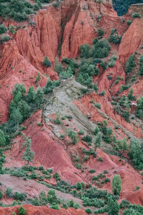 崎rock的岩石地形与绿色的植物 · 免费素材图片