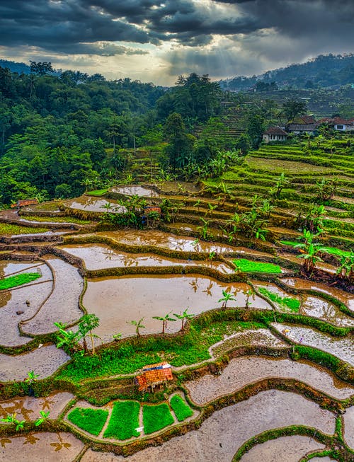 有关下田, 印尼, 垂直的的免费素材图片