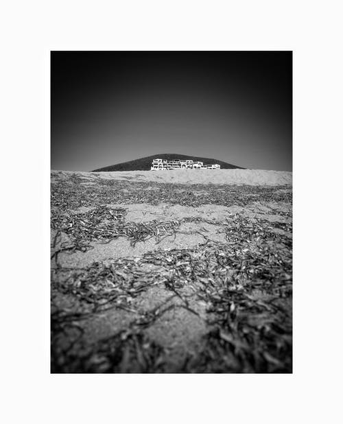 有关bw, 低潮, 住的免费素材图片