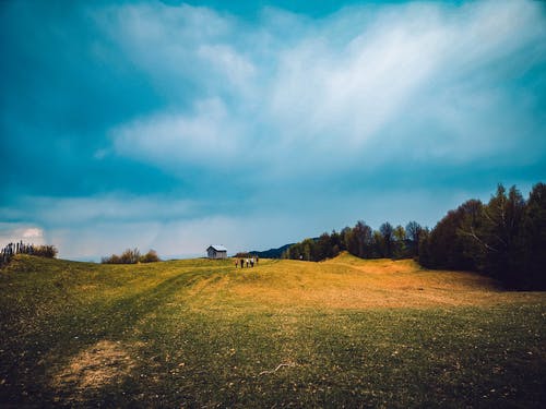 有关天性, 户外, 景观的免费素材图片