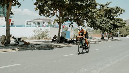 有关健康的生活型态, 公路旅行, 娱乐的免费素材图片