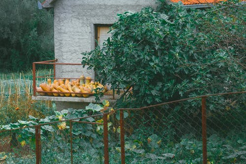 有关一串, 住, 住宅的免费素材图片