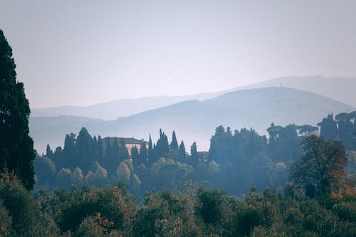 绿树和山脉 · 免费素材图片