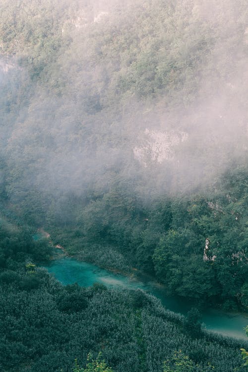 在有雾的日子流经丘陵草皮地形的蓝河 · 免费素材图片