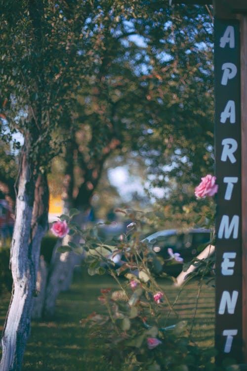 有关公园, 公寓, 区域的免费素材图片