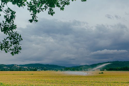 多云的天空下的绿草田 · 免费素材图片